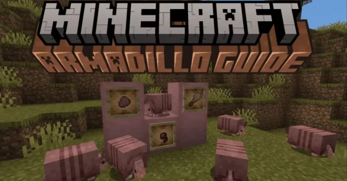 Minecraft Armadillo