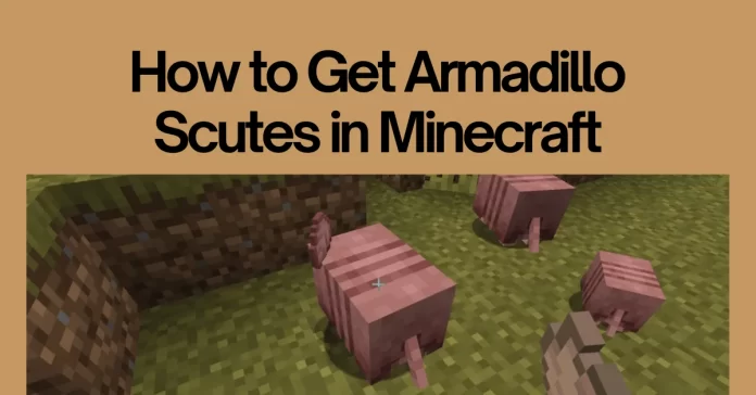 armadillo minecraft